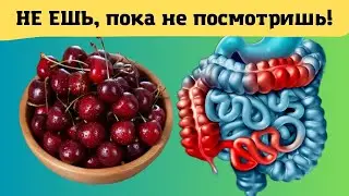 ЧЕРЕШНЯ. ВРАЧИ держат это в тайне!?