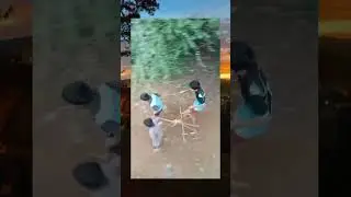 #shorts #memes #funnyvideo