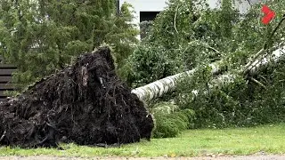 Vētras sekas Rīgas Dārziņu apkaimē