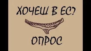 Хотите ли вы вступления Украины в ЕС? (Опрос участников 3-го майдана)
