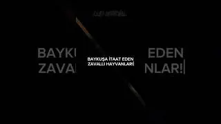 BAYKUŞA İTAAT EDEN ZAVALLI HAYVANLAR! #ittihatveterakki #türktarihi #enverpaşa #shorts #keşfet
