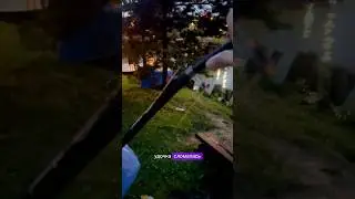 Антон сломал удочку, но вытащил огромного карпа