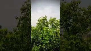 Relaxing Rain