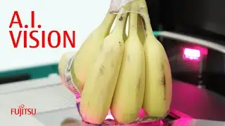 U-SCAN Vision