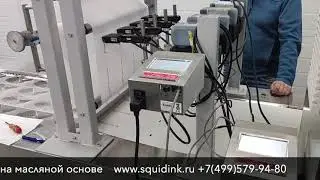 CoPilot 128 на упаковочной линии
