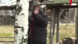 Пила или пила