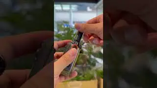 #walkietalkie