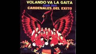 Cardenales del Exito - Llego la Gaita