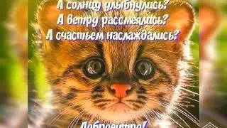 Утро