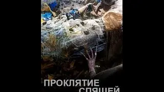 Проклятие Спящей Красавицы - Русский трейлер '2016'