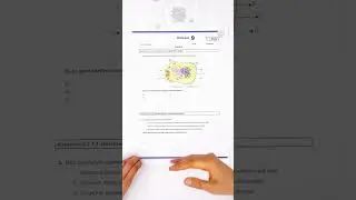 📢 MEB Yazılı Sorularını Açıkladı❗9.Sınıfta Nasıl Sorular Var❓