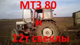 Грязь выше крыши и два прицепа свеклы.  МТЗ 80 и 12 тонн свеклы на хвосте