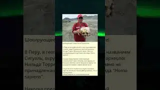 y_Шокирующее Открытие в Парамонге!