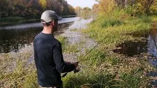 ПоплаПоппер. Ловля красноперок.