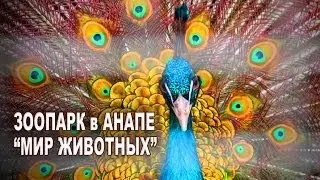 Зоопарк в Анапе