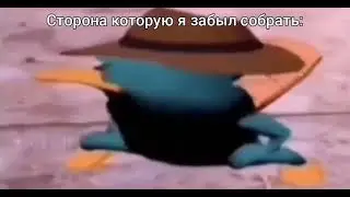 Утконос собирает кубик рубика: