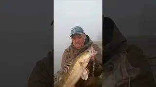 СУДАК С БЕРЕГА