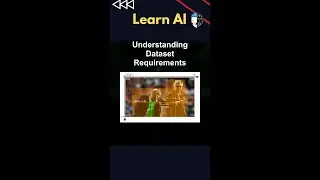 Understanding Dataset Requirements 