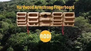 Moon Hardwood Armstrong Fingerboard