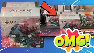 WE HIT EVERY SINGLE ONE!!!!! BLOOMBURROW COLLECTOR BOX OPENING #magicthegathering #mtg #mtglife