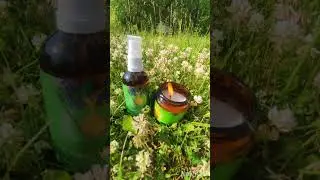 говорю комарам :