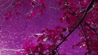 munbe vaa (slowed + reverbed)