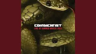 Zombie Fist Fight (Live at Summer Breeze)