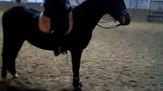 WhatsApp Video 2019 01 10 at 21 01 05