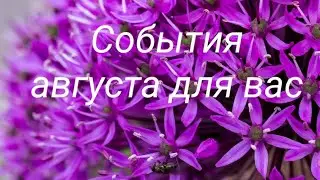 Что ждет вас в августе