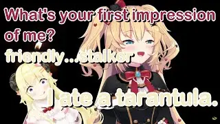 April Fool's Day! Haachama birthday stream with Watame[hololive] [EngSub]
