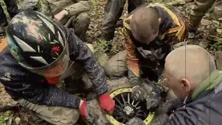 Молодость