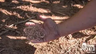 From the Field -  Field Health