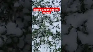 Погода сошла с ума?