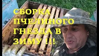 КАК ПРАВИЛЬНО СОБРАТЬ ПЧЁЛ В ЗИМУ ОЧЕНЬ ПРОСТО ДАЖЕ ДЛЯ НОВИЧКОВ! ПОДРОБНО ПОКАЗЫВАЮ И ВСЕ ОБЪЯСНЯЮ!