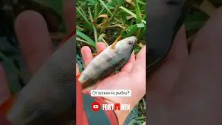 А вы отпускаете рыбку? #fortmen #рыбалка