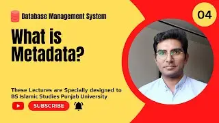 04 What Is Metadata In Database || What Is Metadata? (Hindi/Urdu)