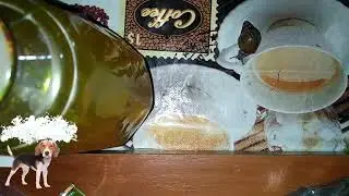 Как лечить раковину ахатины? Полезный совет.