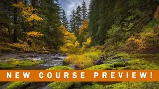 Complete Workflow! New Tutorial Preview