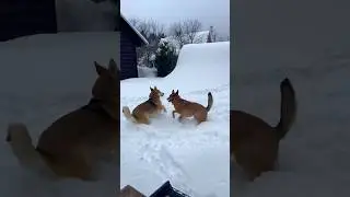 Наша зима ❄️
