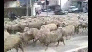 Komunikacioni i dhenve
