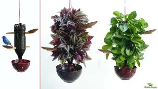 Best Indoor Hanging Plants Ideas to Capitalize on Vertical Space | Hanging Planters//GREEN PLANTS