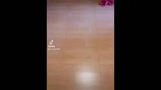 2021 tiktok
