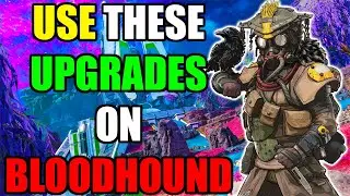 WHAT UPGRADES TO USE ON BLOODHOUND IN SEASON 21