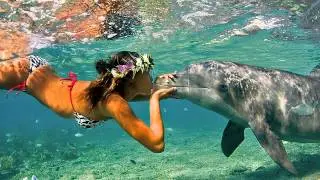 The Dolphin-John Mclaughlin