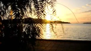 Bir Araya Gelemeyiz - Orhan Gencebay -Lyric Video -HD