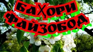 Баҳори Файзобод