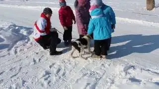 Сифат и дети
