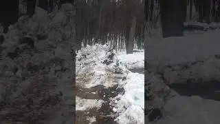 ДТ-75 ПОЧИСТИЛИ ПАСЕКУ ОТ СНЕГА