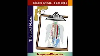 Radiating pain under scapula