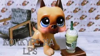 LPS: КОНКУРС НА LPS//РАНДОМ//ЗАКРЫТ//
